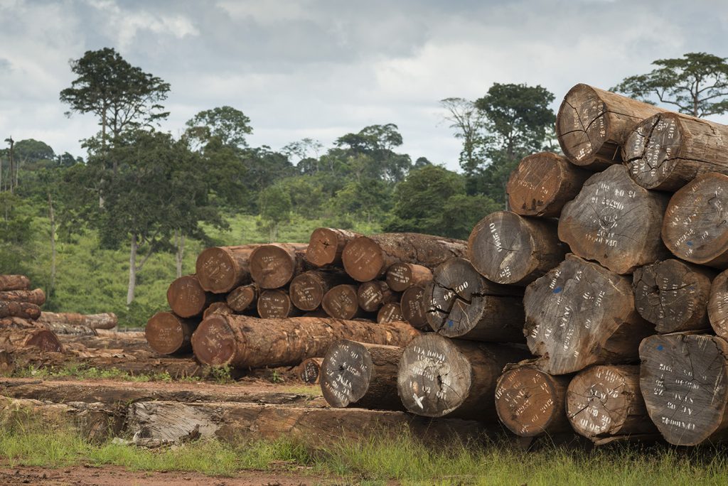 deforestation-caemeroon-1024×684