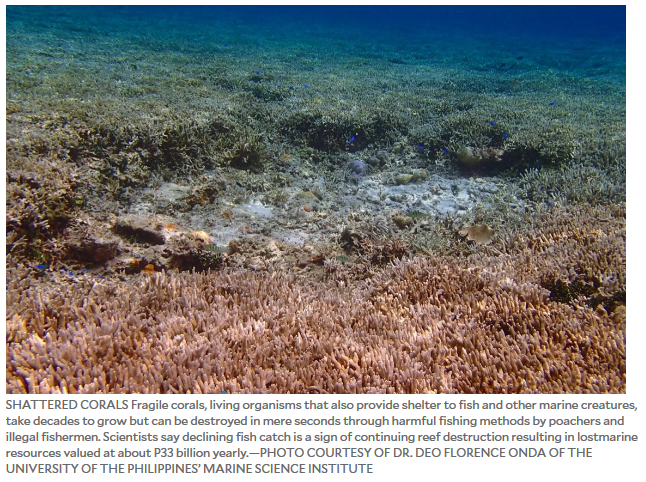 china-destroys-coral-reefs