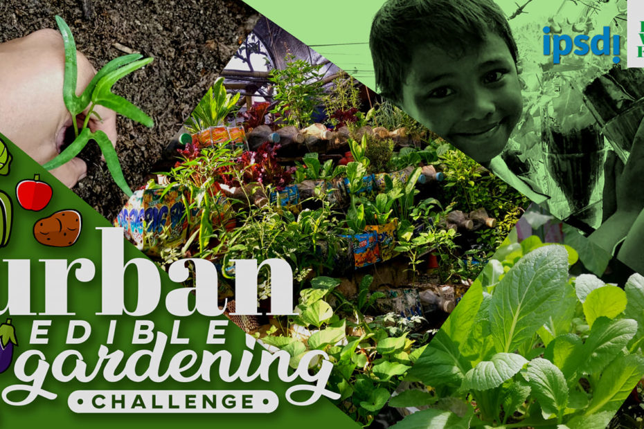 Grow Your Own Food Challenge